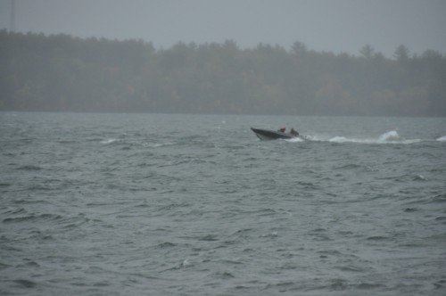 768B9216-AB7E-49DF-86CC-BDF0258A935A