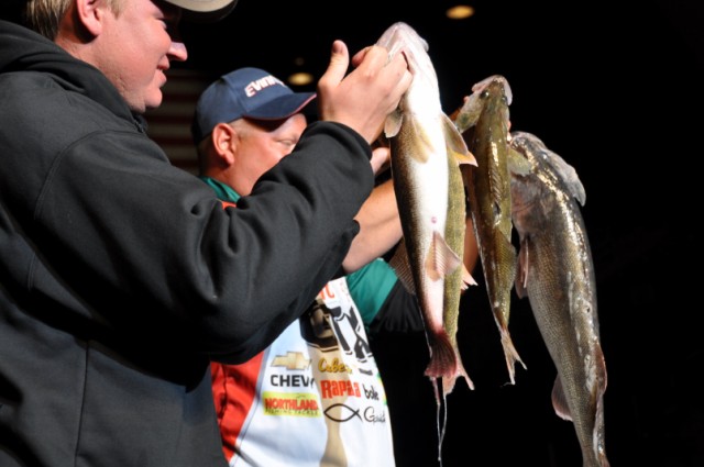 768BC1FB-6E02-40B7-951B-0FCC0DA58D81