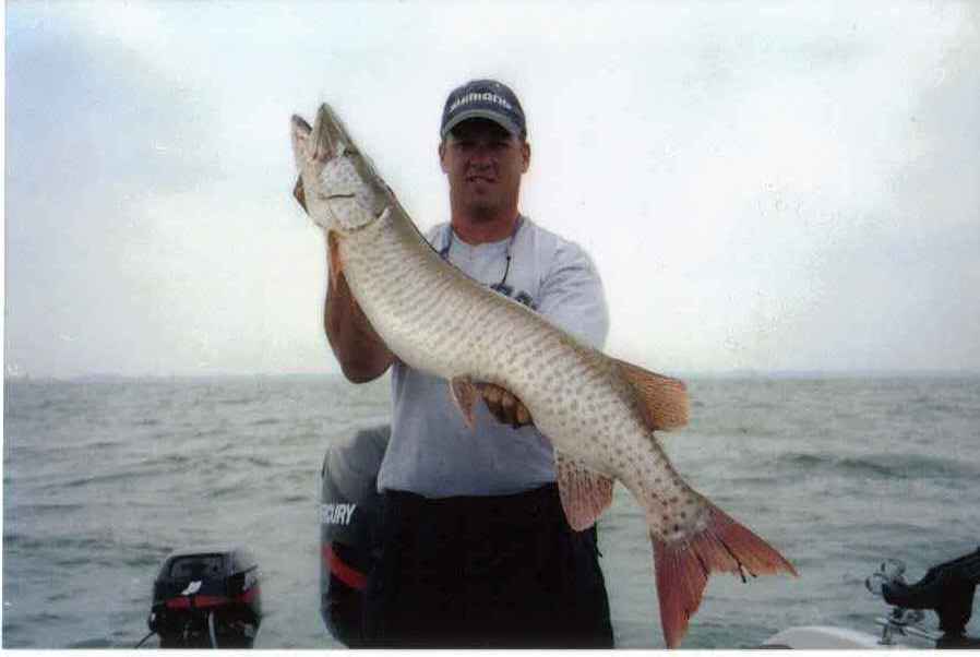 77B3DFA8-5705-4225-90FB-7FF9D17DF638