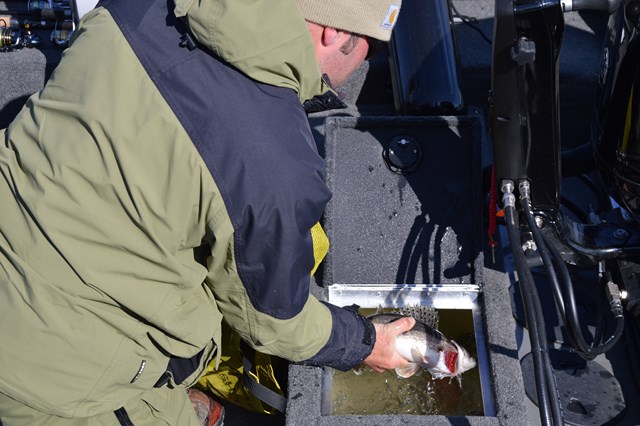 77E8C2D9-95F7-4366-A1C1-C14E1516F827