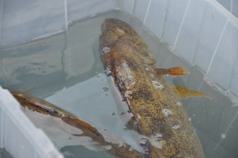 7820FBF4-4A07-48E7-808A-81B190570875