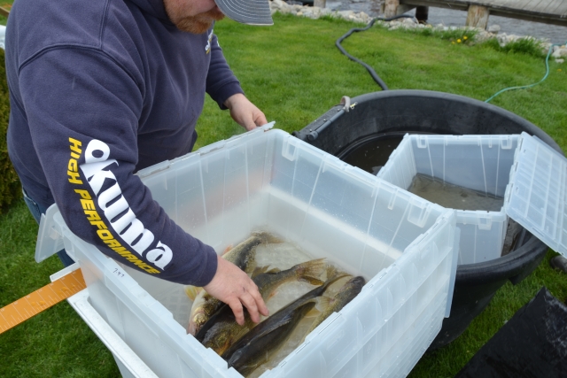 798DAC89-5C88-434B-AB26-5388651151A8