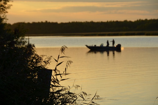 7A4D24C2-A566-4795-BF74-90EA8F928405