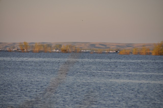 7B232506-F07C-4165-88E0-D400A8EB6802