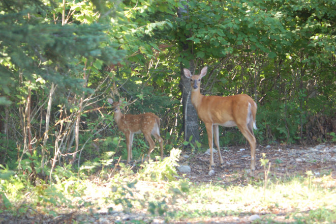 7B45C931-688D-45F7-84E0-8D1787087A31