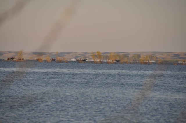 7CD3D6DE-636E-4E81-9EAE-DCDE3AB83FEB