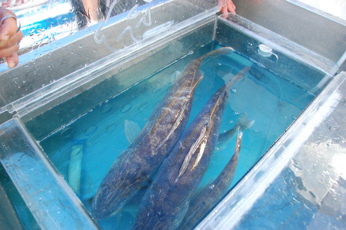 7CE1ABDA-387A-41E3-B32C-455713EB36E9