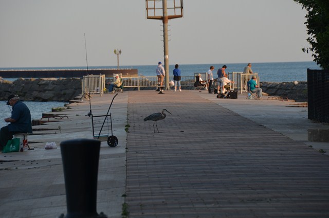 7CF8F942-BC7B-47D6-8C5C-77BA1A0D7122