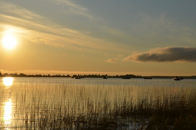 7D92243C-5A36-4F5F-B01B-7B2DA9ADFD3E