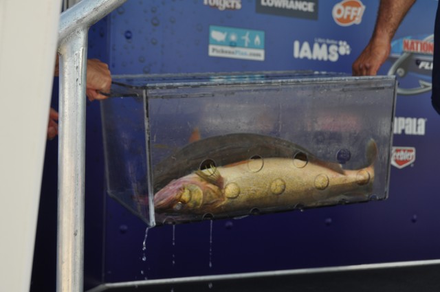 7E0D0CA5-0C47-46E0-9B01-86B63358C5AB