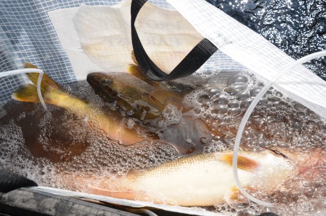 7E1F921F-6B65-44DA-8D6F-4DADD4B2D138