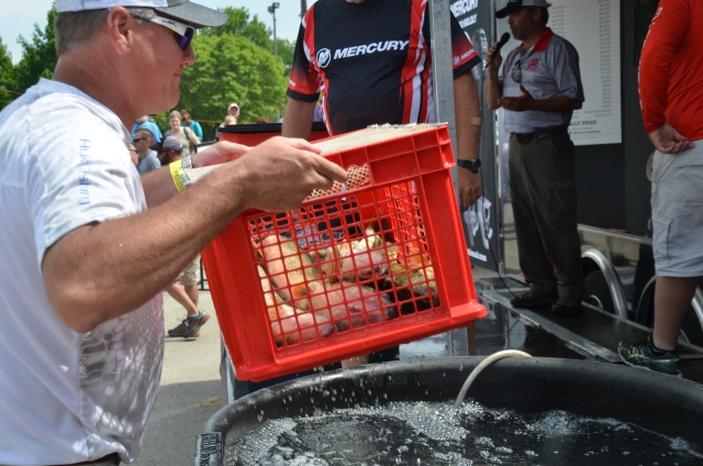 7F420D49-D2CE-450C-82C7-7039E010494C