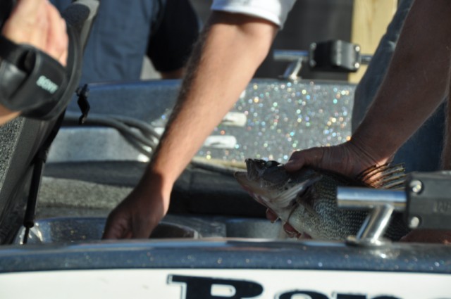 7F470BA2-93A2-4E32-9513-49C718C7DB48