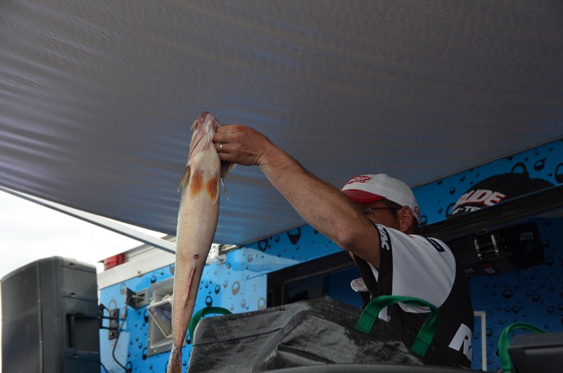 96AB1DE9-16C7-4558-944A-C7BBE5762271