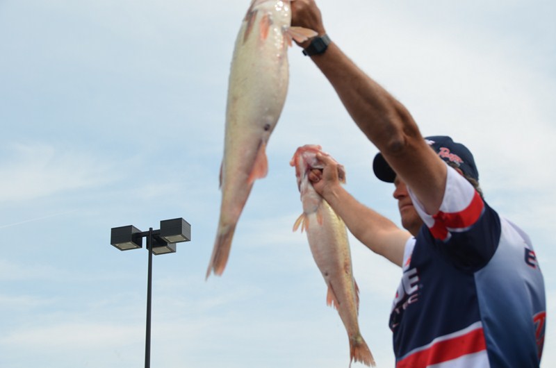 4603DE17-4C5C-4B4E-BE4D-D24B25EB90DF