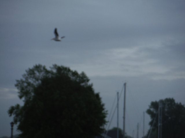 800749EA-C121-4B1B-BC0B-4E771BC13069