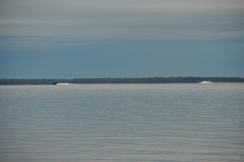 808B7F8E-4D7D-4FEB-AB56-BD13F38841D5