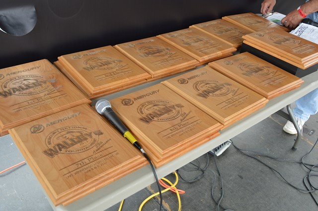 8132478C-8FE9-4F74-BC1A-458D7B99B7FF