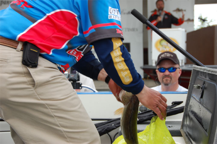 814971F5-1936-49E1-A812-CD06D631293D