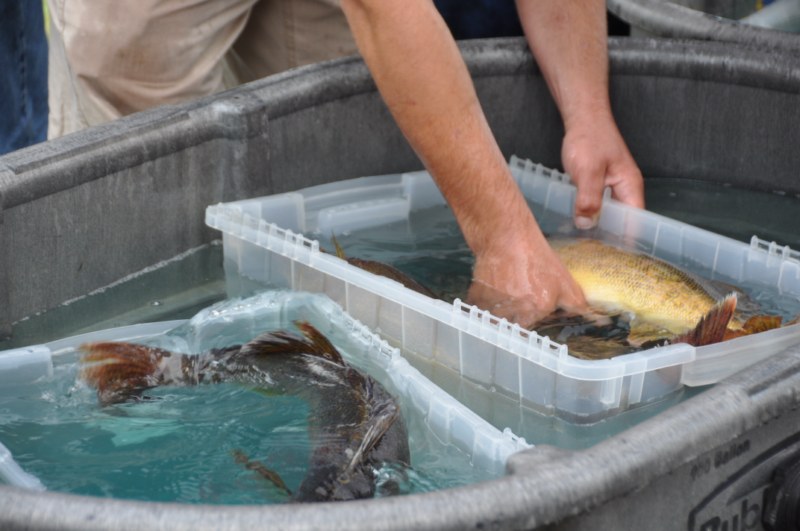 819A63AC-94D8-47A0-958E-44BB68DA6DB4