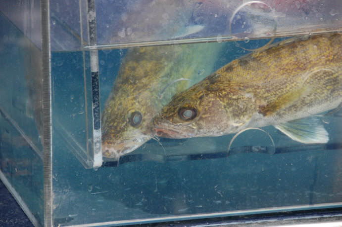 81AEA8AA-15AE-4D71-906D-254E1D2BB9D3