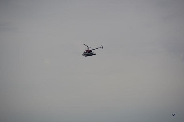 81BD7D3F-7894-4591-94D6-A61D28BA729E