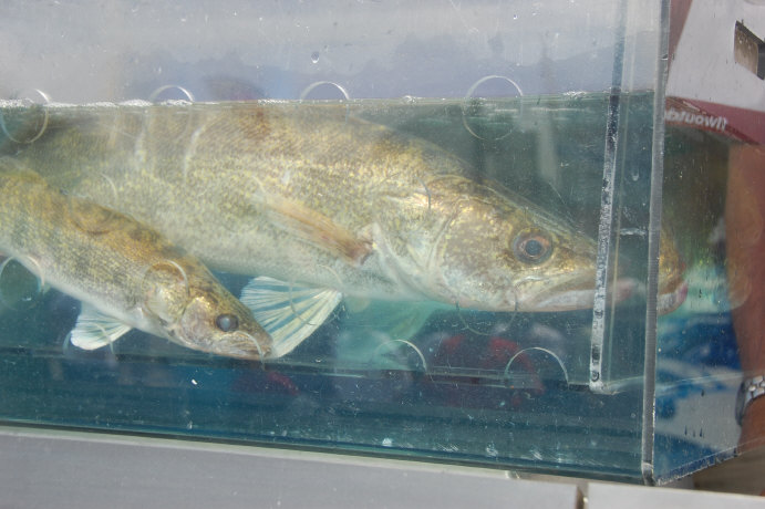 8225E07B-FB8C-40D0-B3FA-D0E30033124A