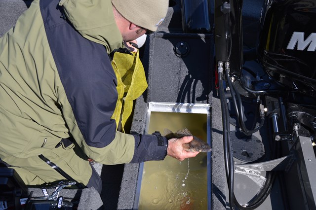 825D97B2-66F9-4F24-9191-1F88C45C0032