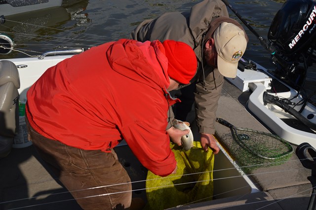 82D5CBF4-758C-4F02-89A4-2BE65CD33CCF