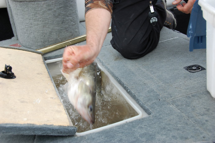 82F5D1EA-7310-4664-B15E-676535DDD1E9