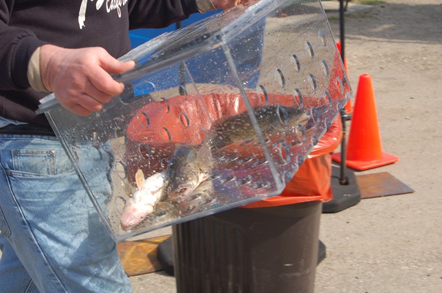 83F64A17-7F1A-4DAF-9C35-63BBEB54DC7E