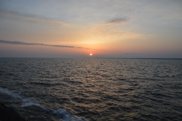 84ABA7C7-B4A3-4E3A-A597-DE071B2A7D1D