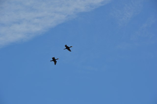 84BC251C-A085-42E1-B822-C2D8C2607A8C