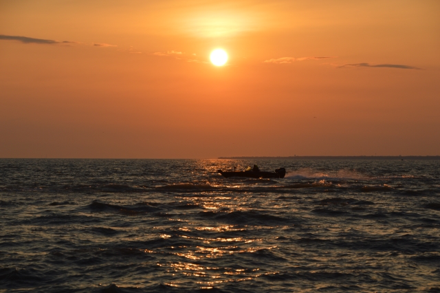 8508337F-B543-40E7-B488-95C2F39A0BBE