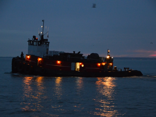 858B7FD8-3480-4F9D-A68C-65D4A43DC88B