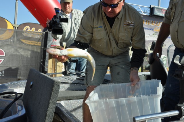 85BF0F66-DB06-4BAD-ADCA-B138571283DE