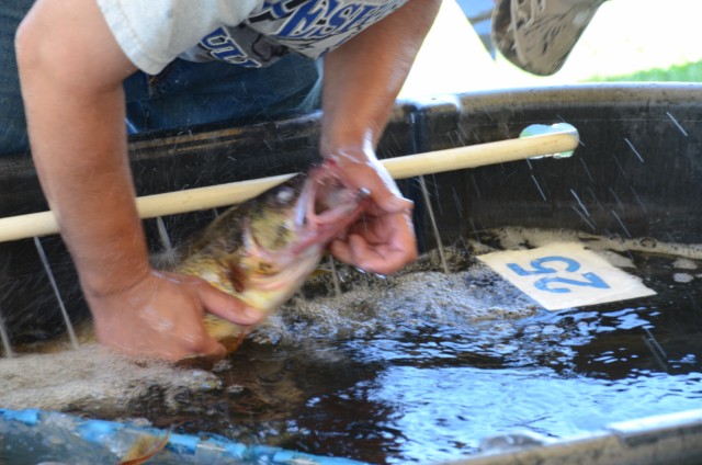 85EB94E9-F34D-43BB-97B6-6ABE8332E667