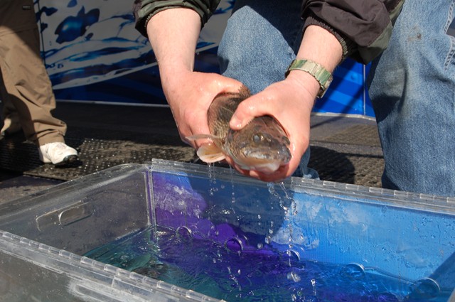 861EE043-A9E5-4758-9AE3-C9E09A5476C2