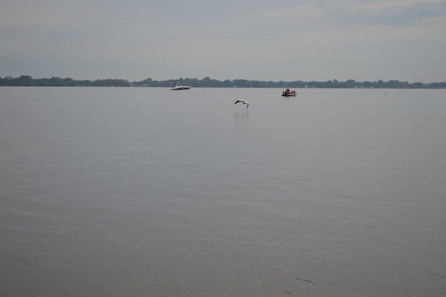 86D7003C-0162-43A1-A74B-FCA33BE72FD2