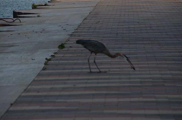 87F09649-8AD9-4126-88C5-B29EF7602363