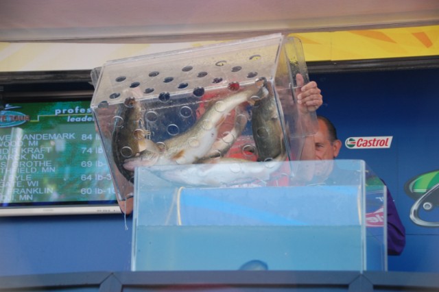 88EE017E-B614-49D7-8915-9D33ED6ED9DB