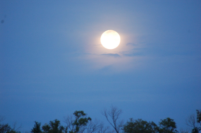 8923ED8A-DA56-48C8-AEBB-3E78293A6665