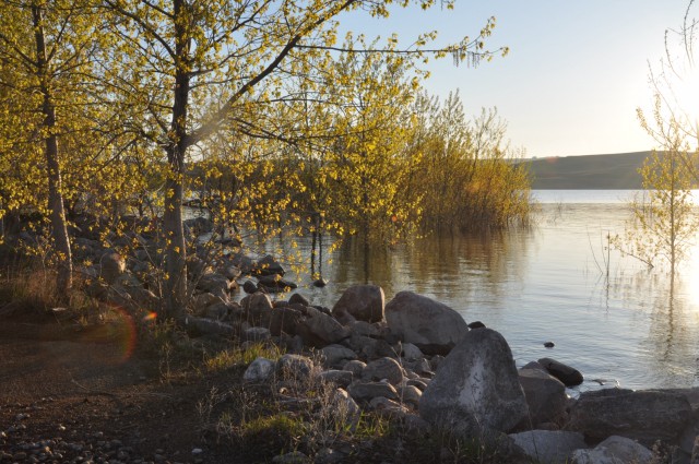 8A0CA19E-C775-45F9-83BC-4649FA262CE7