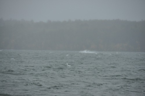 8A73D8C6-B9E9-47A5-AF2E-E812BDF36C55