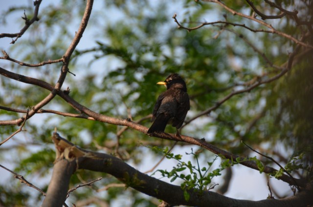 8AF6D29B-8EC2-469D-9922-3A49BC23B427