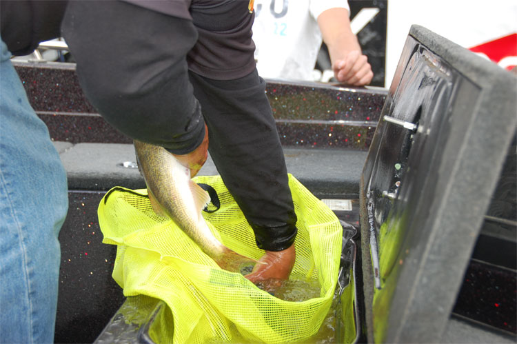 8B0025A1-CE5E-4B1E-B7ED-CA209B4C1C53