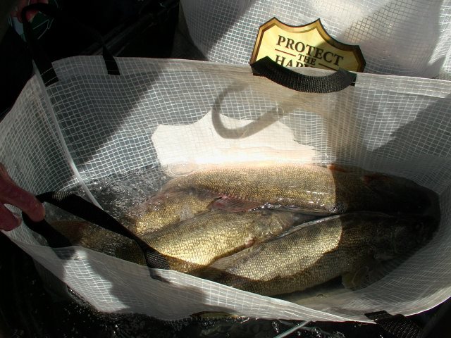 8B13E7FB-F857-48A4-A8F9-70430FE01DAB