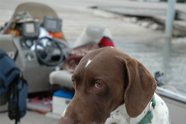 8B6B1464-7525-4E91-95D2-4715C98AC518