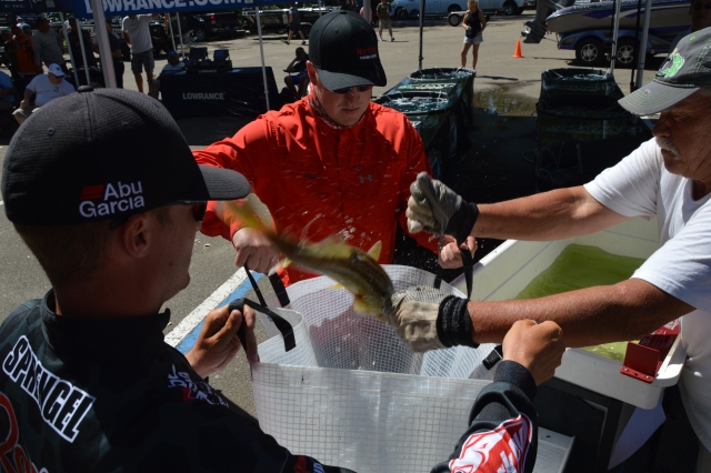 8C28477F-4771-41FE-A84E-1096AE7009E1