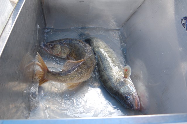 8C5C4B1E-BF44-4C59-97E5-62D10D404901